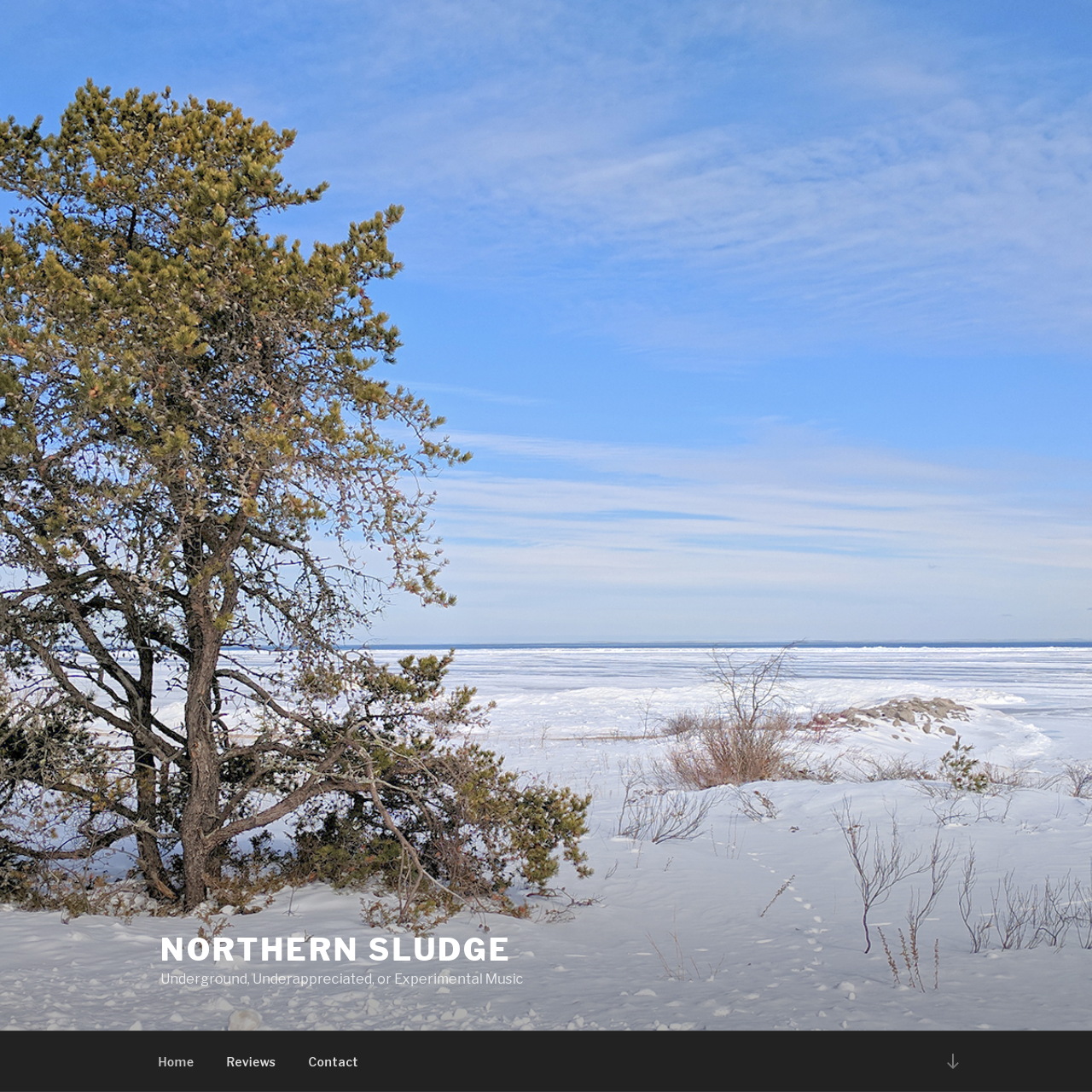 Northern Sludge blog